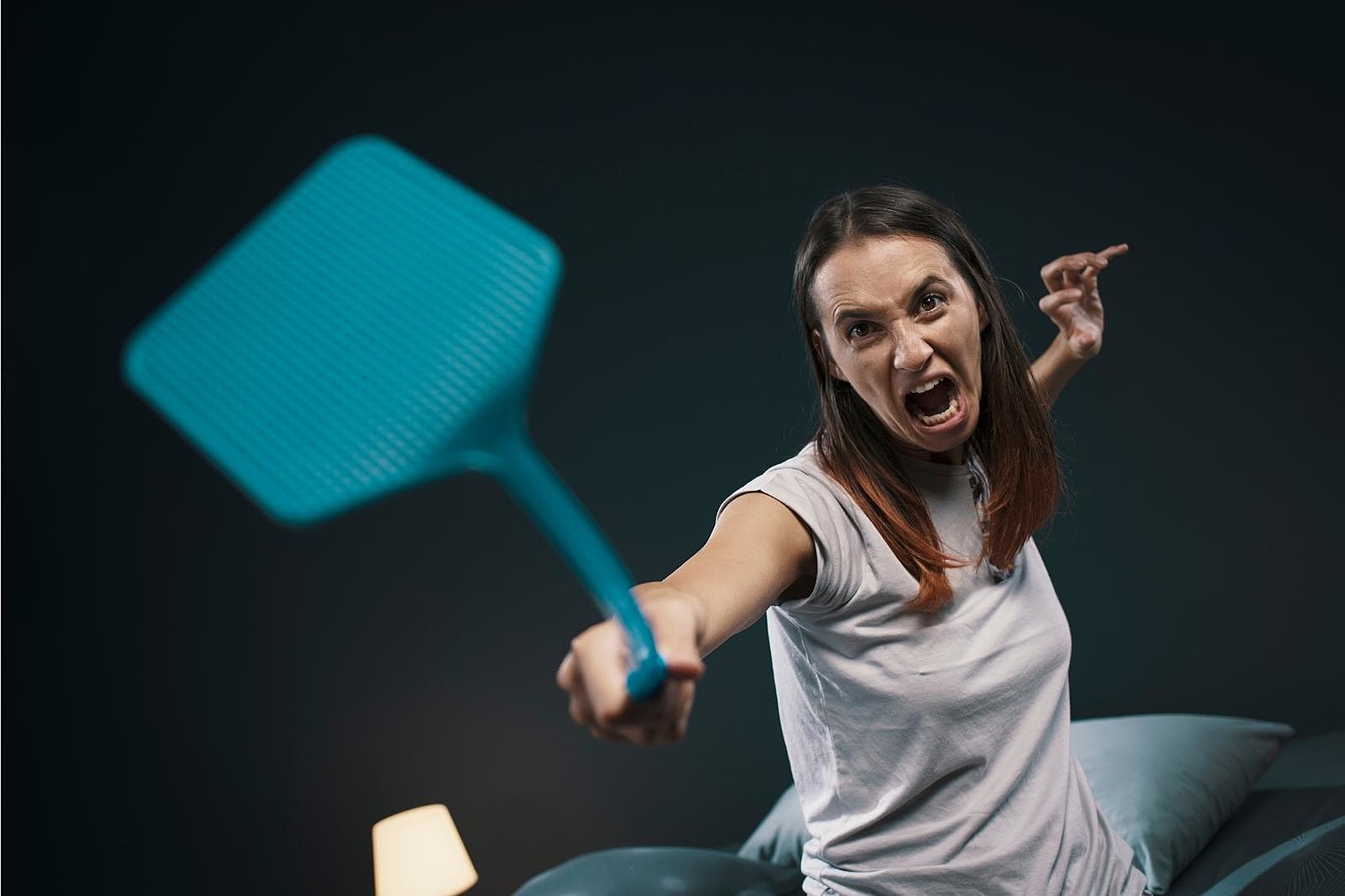 Woman With Fly Swatter