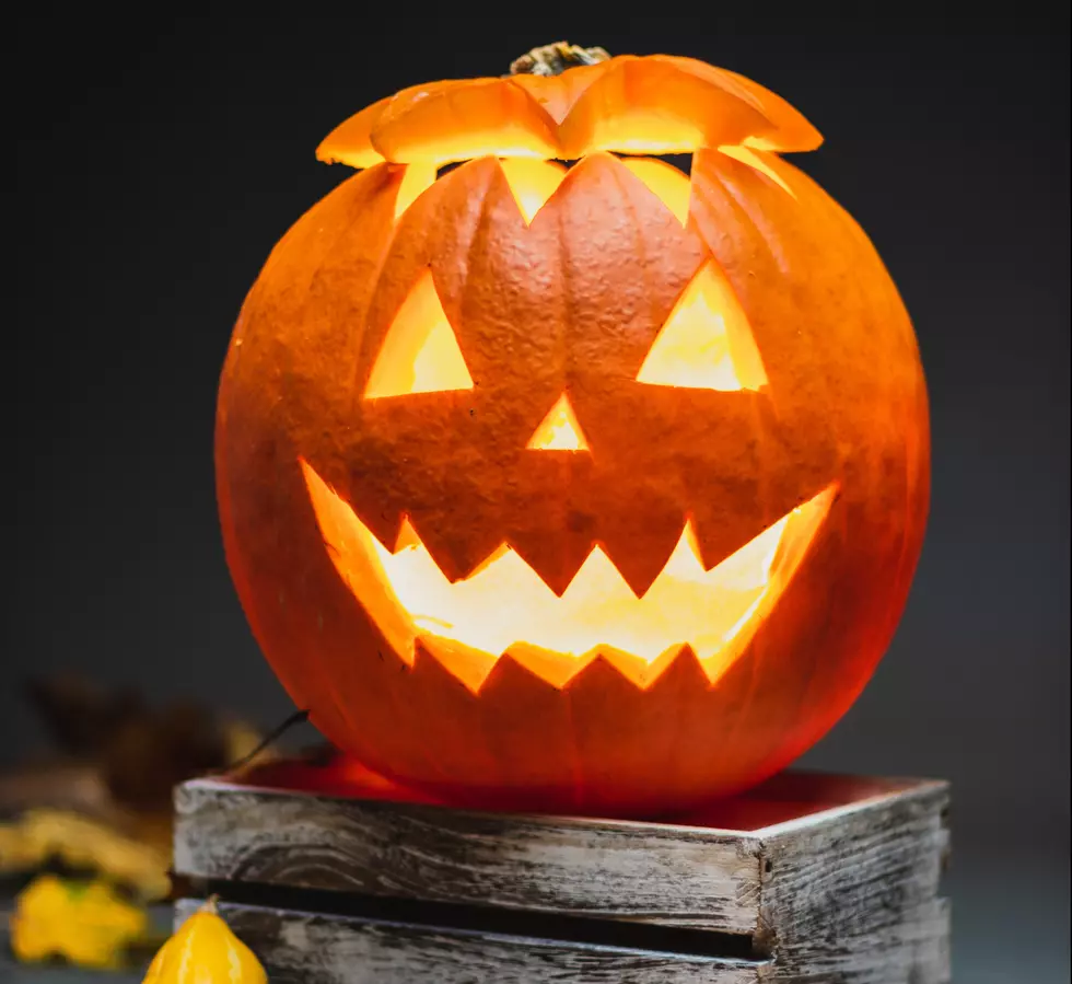 The ULTIMATE Halloween 2022 Events Guide: Bozeman, Butte, Belgrade, Livingston
