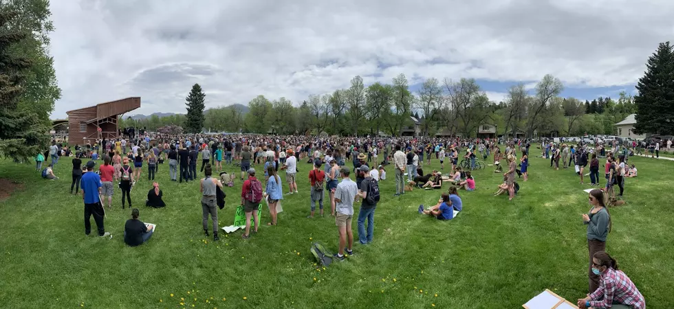 Photos of Sunday’s Protest in Downtown Bozeman