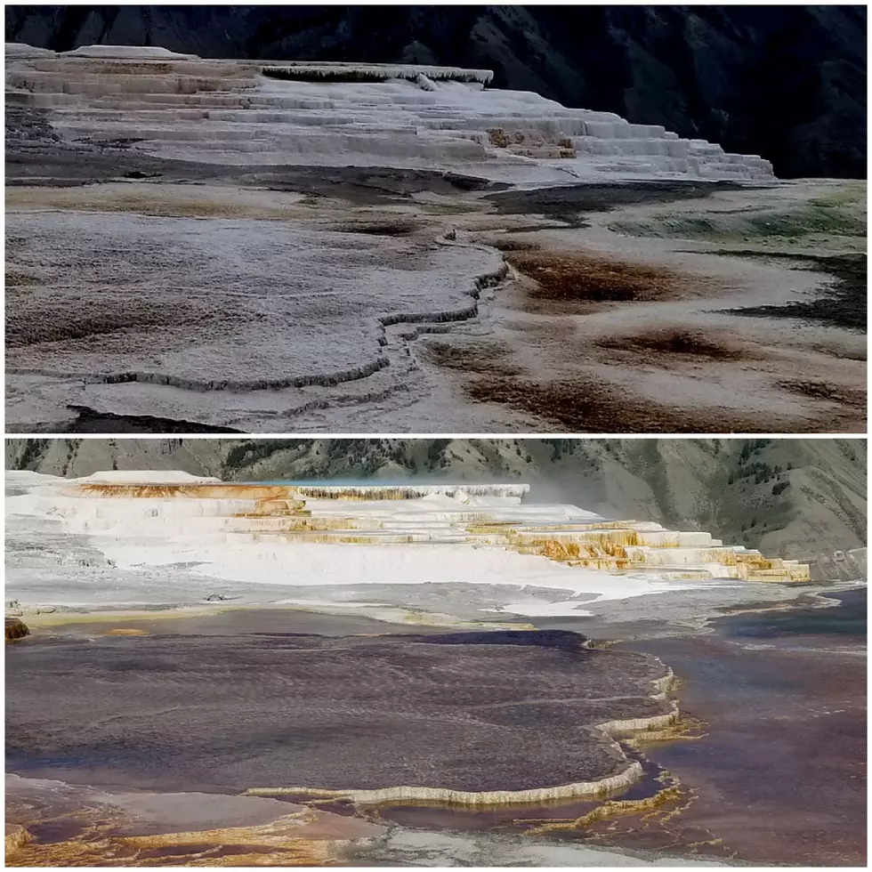 facebook.com/YellowstoneNPS/
