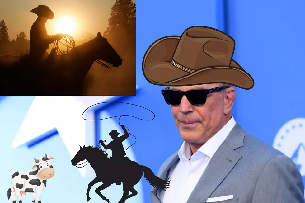 Question About Kevin Costner Goes Viral on Montana Facebook