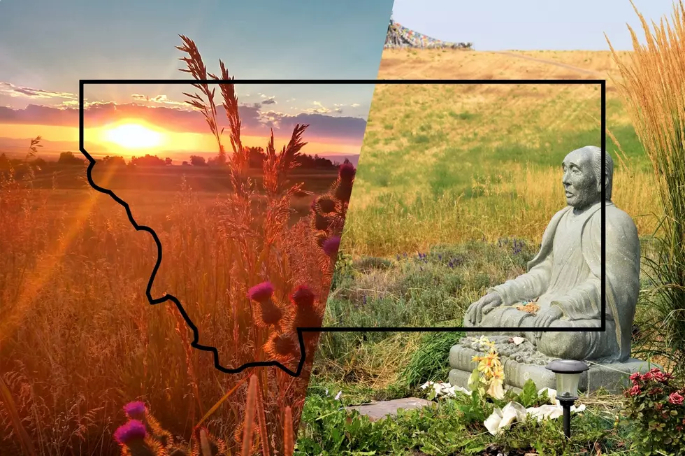 This Famous Garden Is One of Montana’s Best Free Attractions