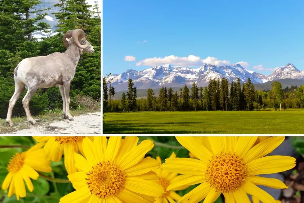 The Most Beautiful Spring Road Trips To Take From Bozeman