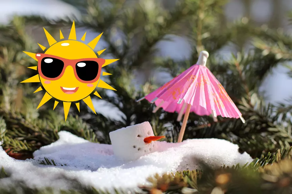 Important Items You Need to Survive Spring in Montana